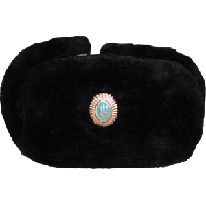 Ukrainian Military Winter Black Hat With Officer Badge