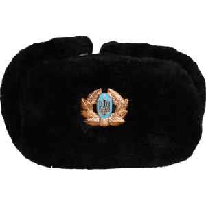 Українська чорна зимова військова шапка з солдатською кокардою