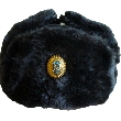Ukrainian Military Winter Hat With Officer Badge