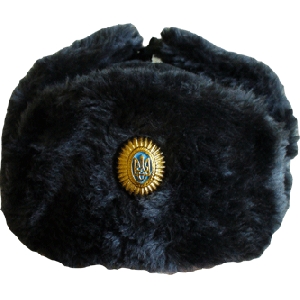 Ukrainian Military Winter Hat With Officer Badge