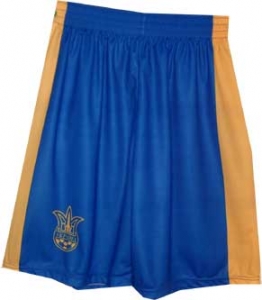 Ukrainian National Soccer Team Training Shorts