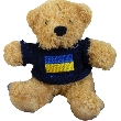 Ukrainian Teddy Bear With Black Top