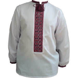 Boy's Cotton Hand Embroidered Shirt. W2