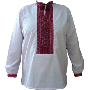 Cotton Hand Emroidered Shirt