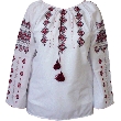 Cotton Hand Embroidered Blouse. W1