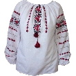 Cotton Hand Embroidered Blouse. W2